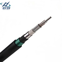 Cable de Fibra Óptica Blindado GYTA53 de Grado Profesional, 4, 8, 12, 24, 48 Hilos, para Entierro Directo con Protección de Cinta de Acero