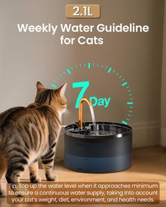 <span class=keywords><strong>Fontaine</strong></span> <span class=keywords><strong>à</strong></span> <span class=keywords><strong>eau</strong></span> pour chat 71oz/21L avec robinet automatique en cuivre, pompe <span class=keywords><strong>et</strong></span> filtres remplaçables, distributeur léger de 3 bols pour animaux de compagnie - Product Image 5