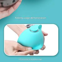 Bol pliable en silicone pour chien d'extérieur, nouvelle gourde portable en acier inoxydable 304 avec crochet de suspension