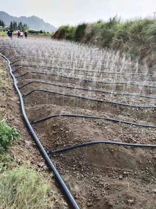 Tuyau d'irrigation micro-aspersion en PE de haute qualité, diamètre 50 mm, épaisseur 0,3 mm, pour l'agriculture, la maison, la ferme, système d'économie d'eau - Product Image 5