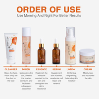 Kit Facial Anti-Âge Éclaircissant à la Vitamine C en Gros pour OEM, Marque Privée, Hydratant, Soin de la Peau à l'Hamamélis, Centella, AHA, Rétinol