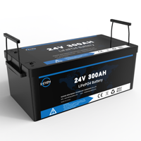 Ventes Flash Batteries Lithium-ion 24V 12V 48V 51.2V 50Ah 100Ah 200Ah 300Ah 400Ah Batteries de Stockage d'Énergie LiFePO4 Avec BMS