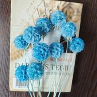 Ge conserveerde bloemen bruidsboeket 10 stelen voor bruiloft, huis, kantoor en feestdecoratie