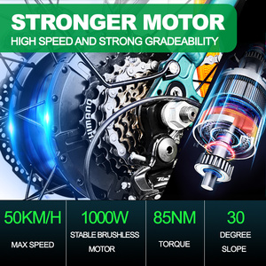 จักรยานไฟฟ้าสไตล์เรโทร EU Warehouse รุ่น E-Bike 1000W มอเตอร์  สองที่นั่ง สำหรับขับขี่ออฟโรด ยางใหญ่ พร้อมแบตเตอรี่สองก้อน - Product Image 4