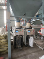 Machine d'emballage de remplissage de sac de Valve de ciment automatique de 25-50kg