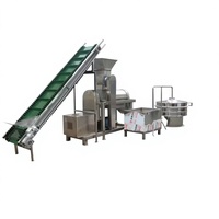 Commerciële grootschalige fruit- en groentepers, industriële cactus-sapresten-scheidingsapparatuur 3000W 220V/110V/380V