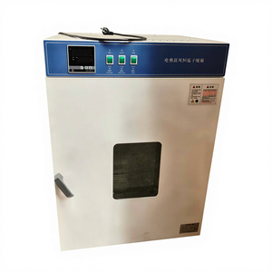 実験室用デジタル表示ブラスト乾燥オーブン - 空気加熱乾燥装置 多様なサイズをご用意 - Product Image 1
