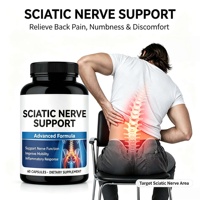 Capsules à base de plantes pour le soutien de la santé du nerf sciatique, supplément d'acide alpha-lipoïque et de nerf sciatique