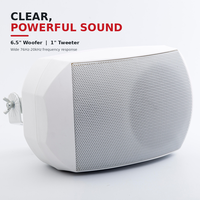 Speaker Dinding Komersial 40W 100V untuk Sistem PA, Pemasangan Tetap, Respon Luas, Suara Jernih, Dua Arah