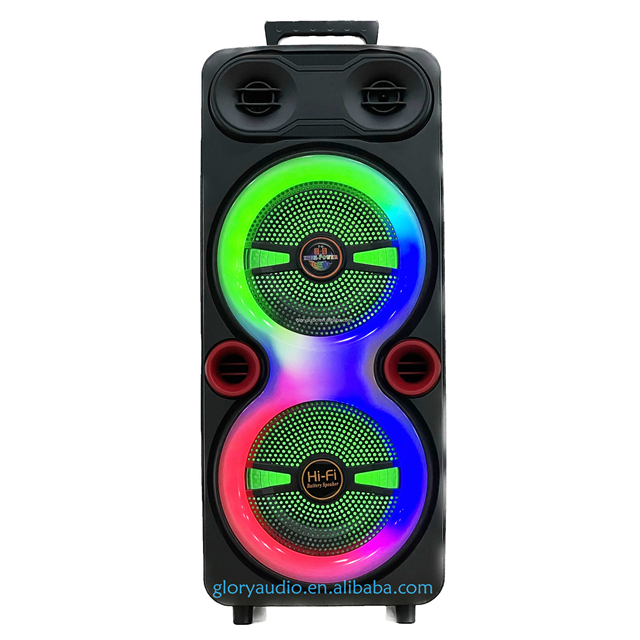 Dual 8-Inch Portable Active Wireless RGB Light Speakers Microphone DC Battery Powered Parties Featuring USB TWS Connectivity