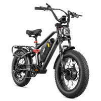 Eahora Terra 2 48V W دراجة كهربائية مزدوجة المحرك مع إطار عريض بطارية 48V 20Ah أفضل سعر