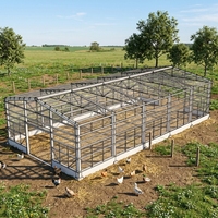 Bâtiment de poulailler galvanisé à chaud pour élevage avicole à grande échelle (5000-20000 oiseaux) (acier Q345B/Q235B/Q355B)
