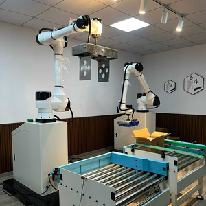 Machine de palettisation manuelle entièrement automatique, <span class=keywords><strong>robot</strong></span> de palettisation, machine de palettisation avec pince personnalisée - Product Image 2