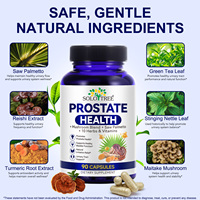 SOLOTREE 90 Capsules Complément Herbal Soin de Santé Capsules pour la Prostate pour Hommes Soutien des Voies Urinaires