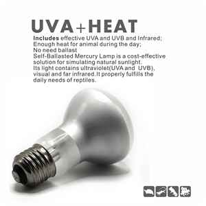 Lámpara <span class=keywords><strong>de</strong></span> Calor para Reptiles, Tortugas y Lagartos, Bombilla para Terrario, Conservación Térmica, Ideal para Dragones Barbudos - Product Image 3