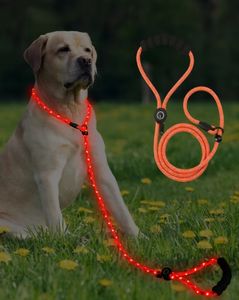 Toptan köpek aksesuarları Light up köpek tasma LED aydınlatıcı LED köpek naylon <span class=keywords><strong>Pet</strong></span> şarj edilebilir Led tasma yaka seti - Product Image 1
