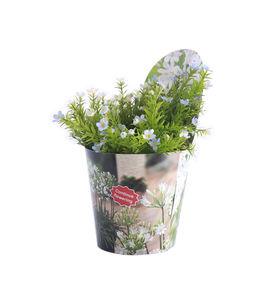 Manchons de pots décoratifs en plastique imperméables personnalisés pour plantes - Product Image 5