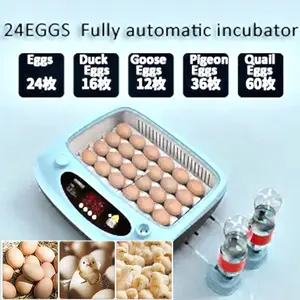Ovo incubadora peças sobressalentes ovo girando motor para incubadora