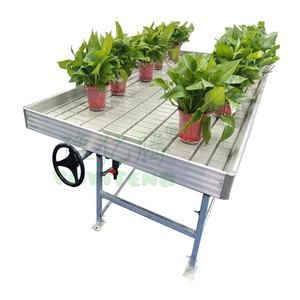 Tables <span class=keywords><strong>de</strong></span> culture <span class=keywords><strong>de</strong></span> taille personnalisée en gros pour plantes commerciales <span class=keywords><strong>lit</strong></span> <span class=keywords><strong>de</strong></span> culture <span class=keywords><strong>de</strong></span> semences <span class=keywords><strong>de</strong></span> pépinière hydroponique <span class=keywords><strong>table</strong></span> <span class=keywords><strong>de</strong></span> culture bancs roulants - Product Image 6