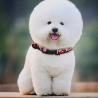 Tissu assorti Boucle En Nylon de Chat Concepteur Personnalisé Clip Personnalisable ensemble de Laisse Pour Animaux De Compagnie Colliers de Formation collier De Chien De Luxe