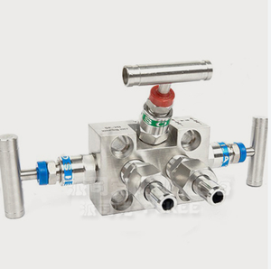 ของแท้ 100% สำหรับ Rosemounts Digital Conventional Manifold 305 ชุดวาล์วรวมแบบสามวาล์ว/304/306 - Product Image 2