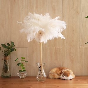 Plumeau à thé portable, outil de dépoussiérage domestique sans perte de plumes, plumeau électrostatique, plumeau en plumes d'autruche. - Product Image 3