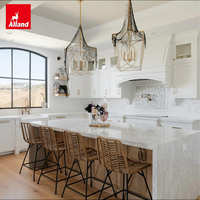 Ensemble complet d'armoires de cuisine contemporaines Allandgroup en bois laqué blanc avec unité micro-ondes intégrée pour appartement