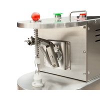 Elektrische Roestvrijstalen Commerciële Schilmachine Voor Fruit Kiwi Appel Oranje Kleine Fruitverwerkingsmachines