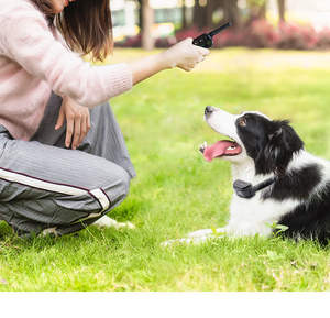 <span class=keywords><strong>Collar</strong></span> de choque de entrenamiento de perro remoto de <span class=keywords><strong>1100</strong></span> yardas para 2 perros traje para perros medianos a grandes impermeable recargable - Product Image 5