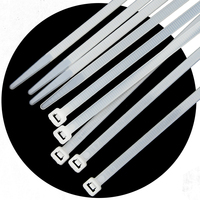 Attaches-câbles en nylon autobloquants 2,5x100mm, lot de 100 pièces, noir et blanc