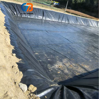 Membrane géotextile HDPE/EVA pour la protection de l'environnement - Anti-infiltration, non toxique, forte stabilité chimique pour bassin, barrage, étang à poissons