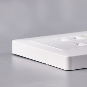 Flame-Retardant Dual Port Panel: High Temperature Resistant, Telecom <strong>Use</strong> - Product Image 6