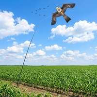 Cerf-volant répulsif anti-oiseaux en forme de faucon, écologique et inoffensif, pour la ferme et la pelouse