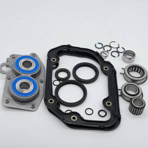 Kit <span class=keywords><strong>de</strong></span> Reparación <span class=keywords><strong>de</strong></span> <span class=keywords><strong>Caja</strong></span> <span class=keywords><strong>de</strong></span> <span class=keywords><strong>Cambios</strong></span> 462005510 02T311206 02T311206C 02T311206E 02T311206F 02T311206H 02T311206J - Product Image 6