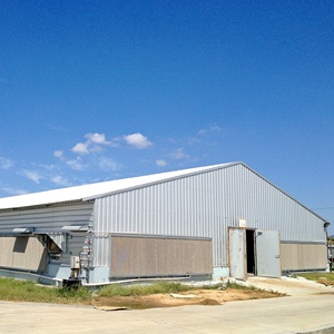 ฟาร์มสัตว์ปีกสังกะสีบ้านไก่โครงสร้างเหล็กโรงเก็บของสร้างเครื่องให้อาหารไก่ไข่และผู้ดื่มพลาสติกอัตโนมัติ - Product Image 6