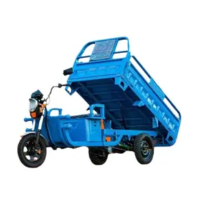 Schlussverkauf hochwertig 60 V 58 A 53 A 32 A 20 A 800 W 1000 W 3 Räder elektrisches Dreirad Elektro-Dreirad für Fracht mit großer Frachtbox