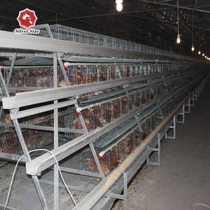 Système d'équipement pour poules pondeuses en élevage avicole, cage automatique pour poules pondeuses en batterie - Product Image 4