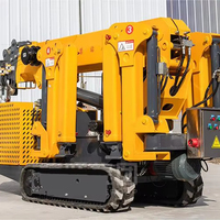 Mini-grue araignée portative sur chenilles de 3 tonnes