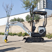Mini-excavatrice sur chenilles personnalisée de 1,2 tonne, 0,8 tonne, 1,6 tonne, CE EPA EURO 5, hydraulique, spécifications agricoles