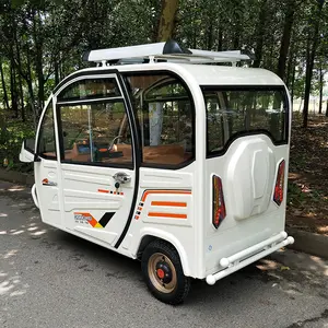 Electric Tricycle For 2 Person/differential For Tricycle/electric Tricycle For Disabled