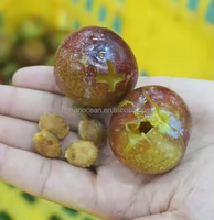 Machine de dénoyautage de prunier séchée de retrait de noyau de date d'olive de vente chaude