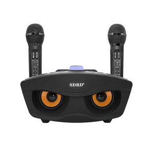 SD306 <span class=keywords><strong>Microphone</strong></span> Ngoài Trời Gia Đình KTV Stereo Loa Kép Với 2 Không Dây Mic Âm Thanh Lớn 20W SDSD 306 Loa Bộ - Product Image 5