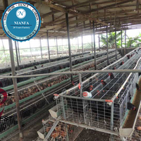 Nid de ponte à 24 trous pour poules pondeuses, en treillis soudé, équipement de cage à poules, clôture agricole en fil métallique - Directement de l'usine de Guangzhou