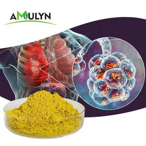 AMULYN Cloridrato de Berberina <span class=keywords><strong>Coptis</strong></span> <span class=keywords><strong>Chinensis</strong></span> Extrato Direto da Fábrica 98% Berberina - Product Image 1