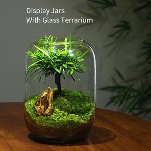 Hydro ponic Glass Desktop Moos Mikro landschaft <span class=keywords><strong>Terrarium</strong></span> Pflanzen topf Glas <span class=keywords><strong>Ornament</strong></span> für Home Office Dekoration Pflanze <span class=keywords><strong>Terrarium</strong></span> Vase - Product Image 4