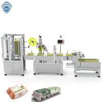 Machine d'étiquetage automatique à écran tactile SKILT PLC pour barquettes à œufs plates, cartons, autocollants pour couvercles |   Applicateur auto-adhésif
