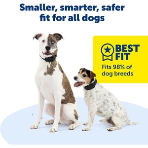 ปลอกคอสุนัข PetSafe Guardian GPS 2.0 พร้อมระบบติดตามแบบเรียลไทม์ กันน้ำระดับ IP67 ระบบติดตามสัตว์เลี้ยงอัจฉริยะ 4G สำหรับสุนัข - Product Image 4