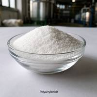 Polyacrylamide à haut poids moléculaire PAM, floculant granulaire pour le forage pétrolier, la teinture textile, le traitement des eaux usées municipales