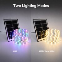 Kit de jardin solaire RVB adressable OEM 12V 5050RGB 300 LED/m IP65 5W avec télécommande, personnalisable, ensemble de 10m