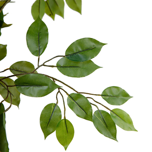 200เซนติเมตรที่งดงาม <span class=keywords><strong>Ficus</strong></span> ต้นไม้พลาสติกนายอำเภอทางเลือกสำหรับตกแต่งบ้าน - Product Image 4